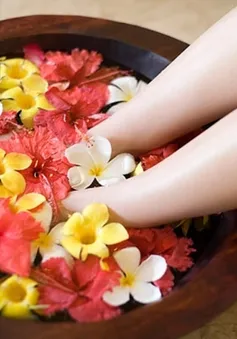 Bài thuốc trị chứng mất ngủ