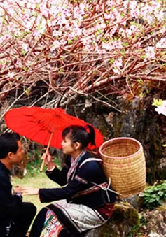 Sẵn sàng đến với Chợ tình Khâu Vai 2013