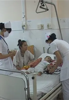Khánh Hòa: Nan giải công tác phòng chống sốt xuất huyết