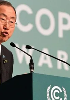 COP 19 đạt được thỏa thuận vào phút chót