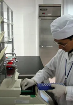 Việt Nam kết thúc nghiên cứu giai đoạn cuối vaccine sốt xuất huyết