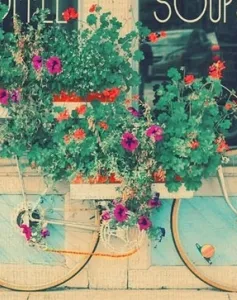 10 ý tưởng sáng tạo cho chiếc xe đạp cũ