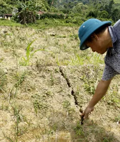 Lào Cai: Xuất hiện vết nứt dài đe dọa nhiều hộ dân