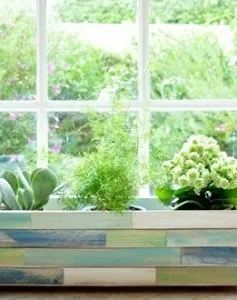 Trang trí cửa sổ với "vườn treo"  tự tạo