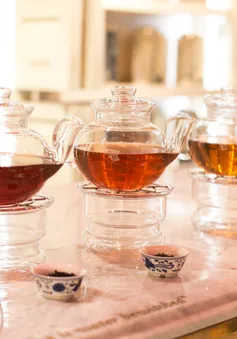 Hy Lạp: Trà 26 tỷ đồng/kg vẫn… cháy hàng