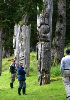 Nhiều cây khổng lồ ở công viên quốc gia Gwaii Haanas, Canada