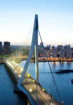 Hấp dẫn Rotterdam 