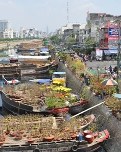 Chợ hoa “trên bến dưới thuyền” - Nét thú vị của Tết Sài thành