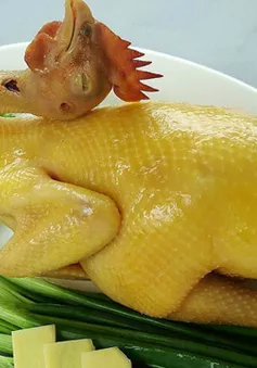 Mẹo chọn và luộc gà ngon ngày Tết 