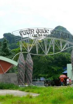Vườn quốc gia Cát Bà - Một gợi ý cho chuyến du lịch hè