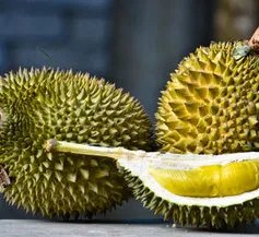 Ăn sầu riêng cũng phải biết cách