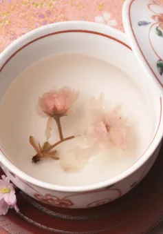 Độc đáo các món ăn từ hoa anh đào của Nhật Bản