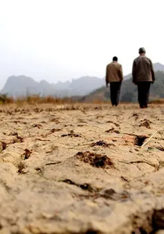 Triều Tiên đối mặt đợt hạn hán nghiêm trọng nhất hơn 10 năm qua