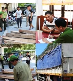 Thanh Hoá: Trạm trưởng kiểm lâm bị bắt quả tang nhận hối lộ 100 triệu VND