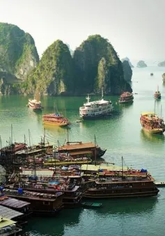 Vụ 7.000 lít dầu chứa hóa chất siêu độc và số phận Vịnh Hạ Long