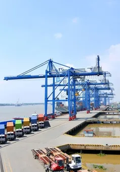 Doanh nghiệp XNK đang phải gánh nhiều loại phụ phí vô lý