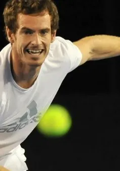 Andy Murray: “Djokovic là một nỗi đau…”