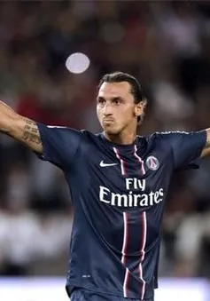 Ancelotti: “Ibrahimovic không đi đâu cả”