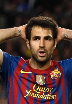 84% CĐV Barcelona muốn CLB bán Cesc Fabregas