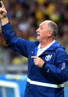 Chia tay ĐT Brazil, Scolari đã tìm ngay được việc mới