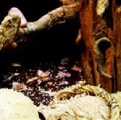 Kịch rối Pháp chinh phục khán giả Việt