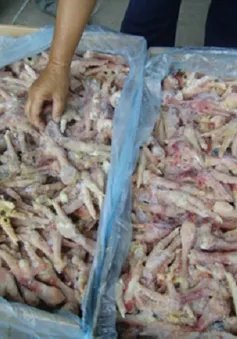 Bắt giữ hơn 800 kg chân gà đông lạnh 