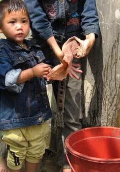 Sự sống mới nơi “rốn da cam”