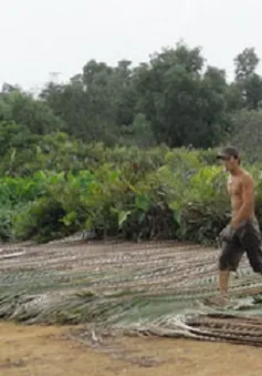 Đóng tiền 10 năm, đất vẫn nằm... trên giấy