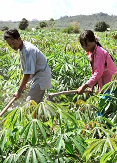 Gia hạn dự án Thí điểm giảm nghèo tại huyện Ia Pa