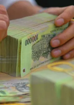 2013, chỉ xử lý một nửa số nợ xấu dự kiến