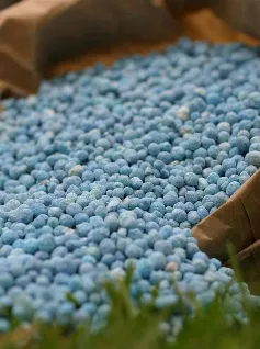 Nhập khẩu phân bón tăng mạnh