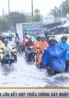 Cần Thơ ngập lụt sâu vì mưa lớn kết hợp với triều cường