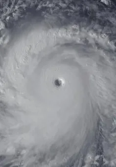 Siêu bão Haiyan đổ bộ Philippines