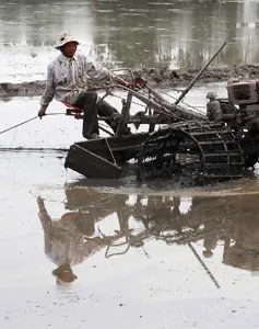 Quảng Trị: Thiếu trầm trọng đất canh tác vụ Đông Xuân sau lũ 