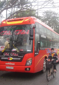 Bắt giữ xe khách chở hơn 1 tấn gỗ lậu