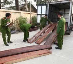 Phát hiện vụ buôn lậu gỗ quý qua đường hàng không 