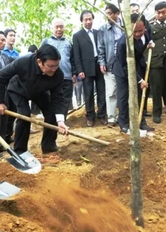 Chủ tịch nước phát động “Tết trồng cây”