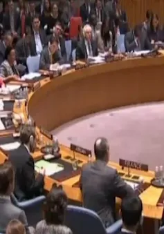 LHQ thông qua nghị quyết viện trợ nhân đạo tại Syria 