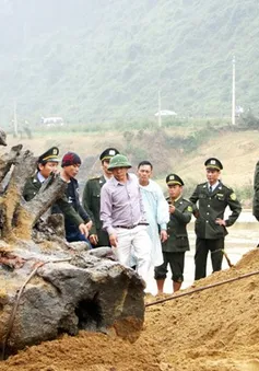 Quảng Bình trục vớt thành công gốc cây gỗ huê mắc kẹt
