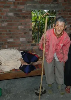 Hai cụ già đau đớn nhìn con chết mòn