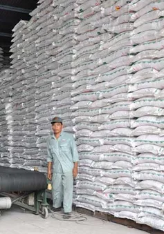 Phó Thủ tướng chỉ đạo tháo gỡ khó khăn trong tiêu thụ đường tồn kho