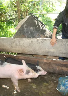 Nữ Phó Chủ tịch xã giàu tâm huyết với bản làng...