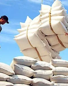 300.000 tấn gạo tắc ứ tại Hải Phòng 