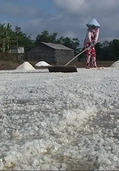 Bến Tre: Mưa trái mùa gây thiệt hại cho diêm dân