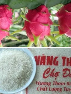 Nông sản của Long An được bảo hộ nhãn hiệu tại Mỹ