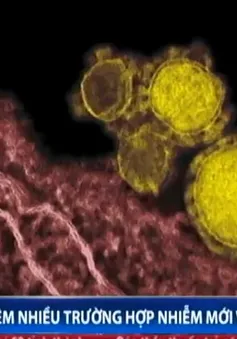 Thêm nhiều trường hợp nhiễm mới virus MERS