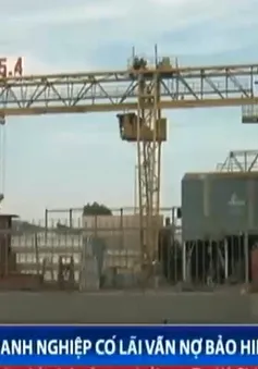 DN ngang nhiên chiếm dụng tiền bảo hiểm xã hội của người lao động?