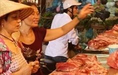 Hà Nội: Gần 60% mẫu thịt gia súc, gia cầm nhiễm vi sinh