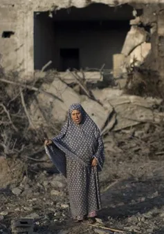 Tổng thống Palestine đề xuất đàm phán với Israel