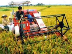 Hỗ trợ 100% lãi suất vay giảm tổn thất nông nghiệp